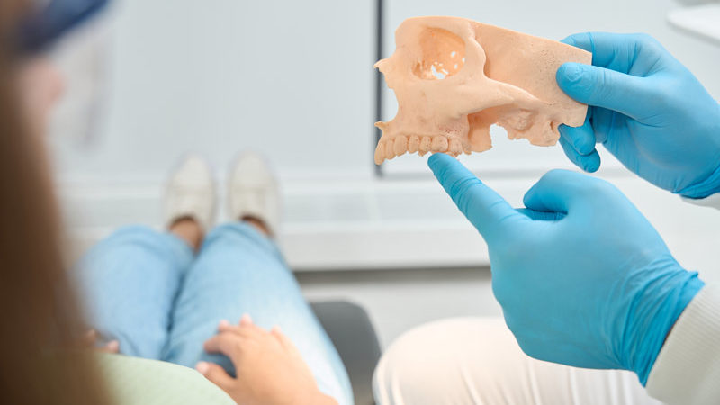 Dentist pointing at a jawbone model to a dental patient